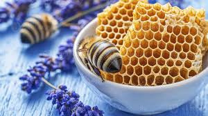 A Distinguisher-Resistant Honey Encryption Scheme